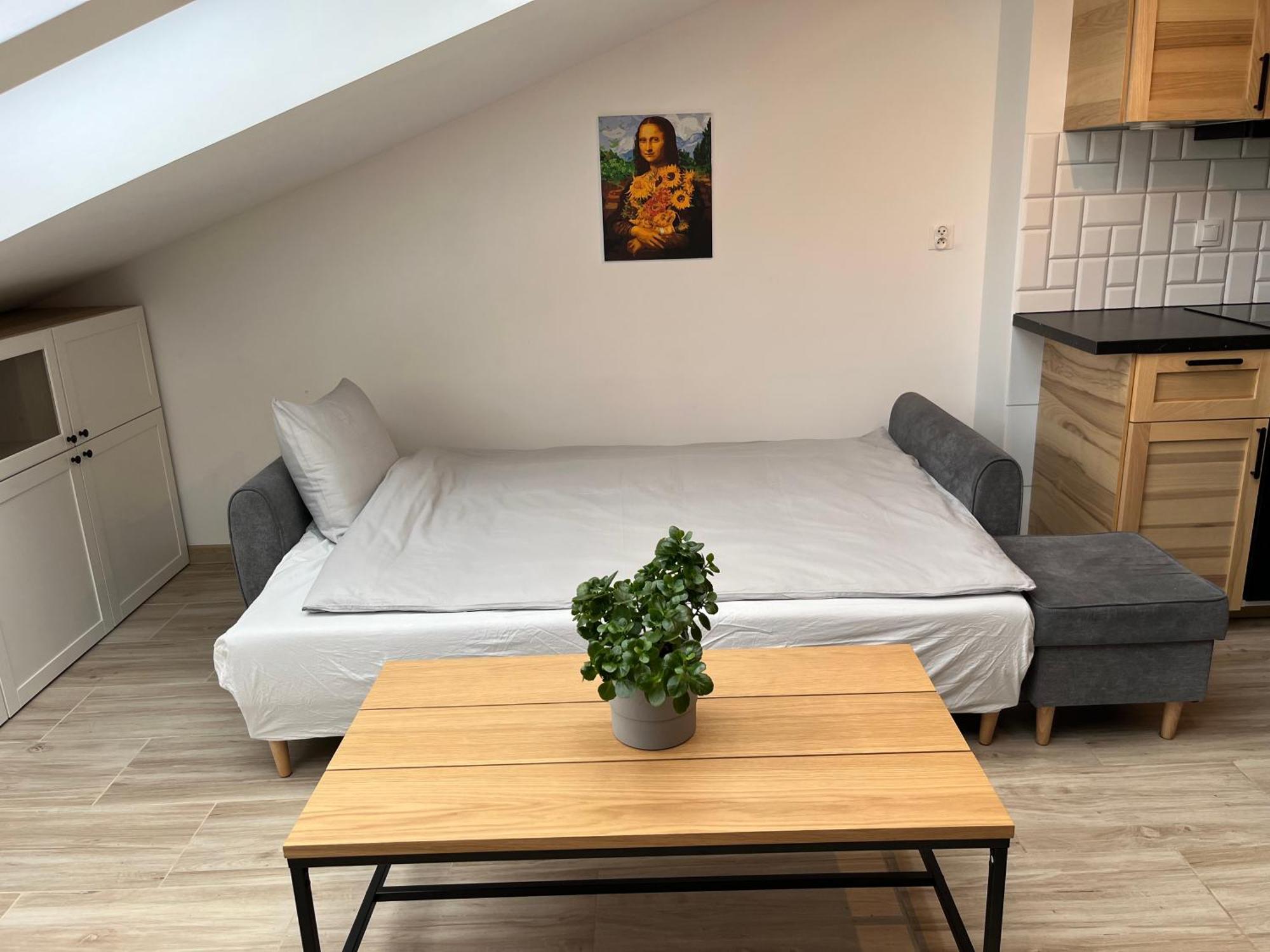 Apartament Feelhome With Kitchen *