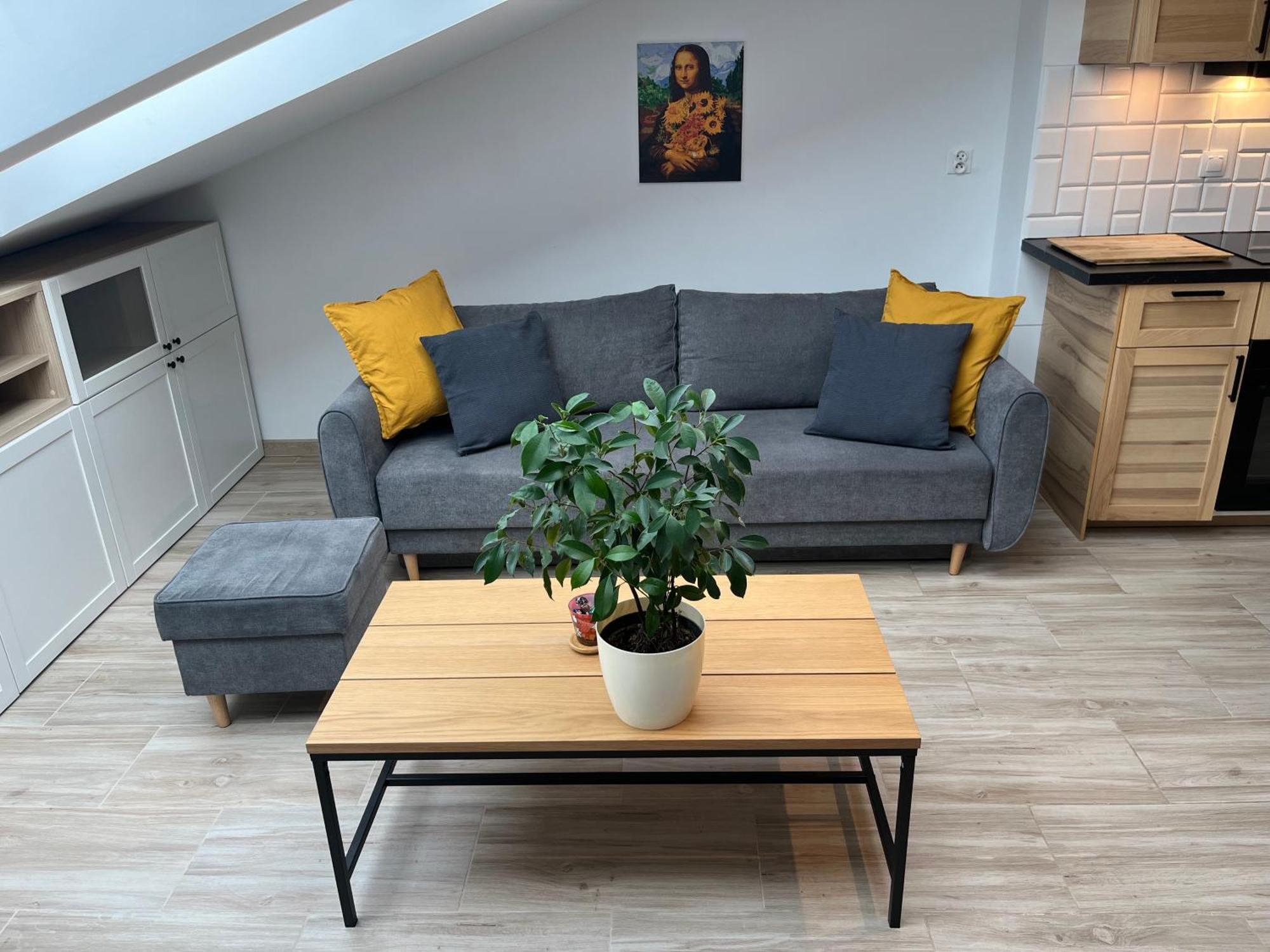 Apartament Feelhome With Kitchen Kraków