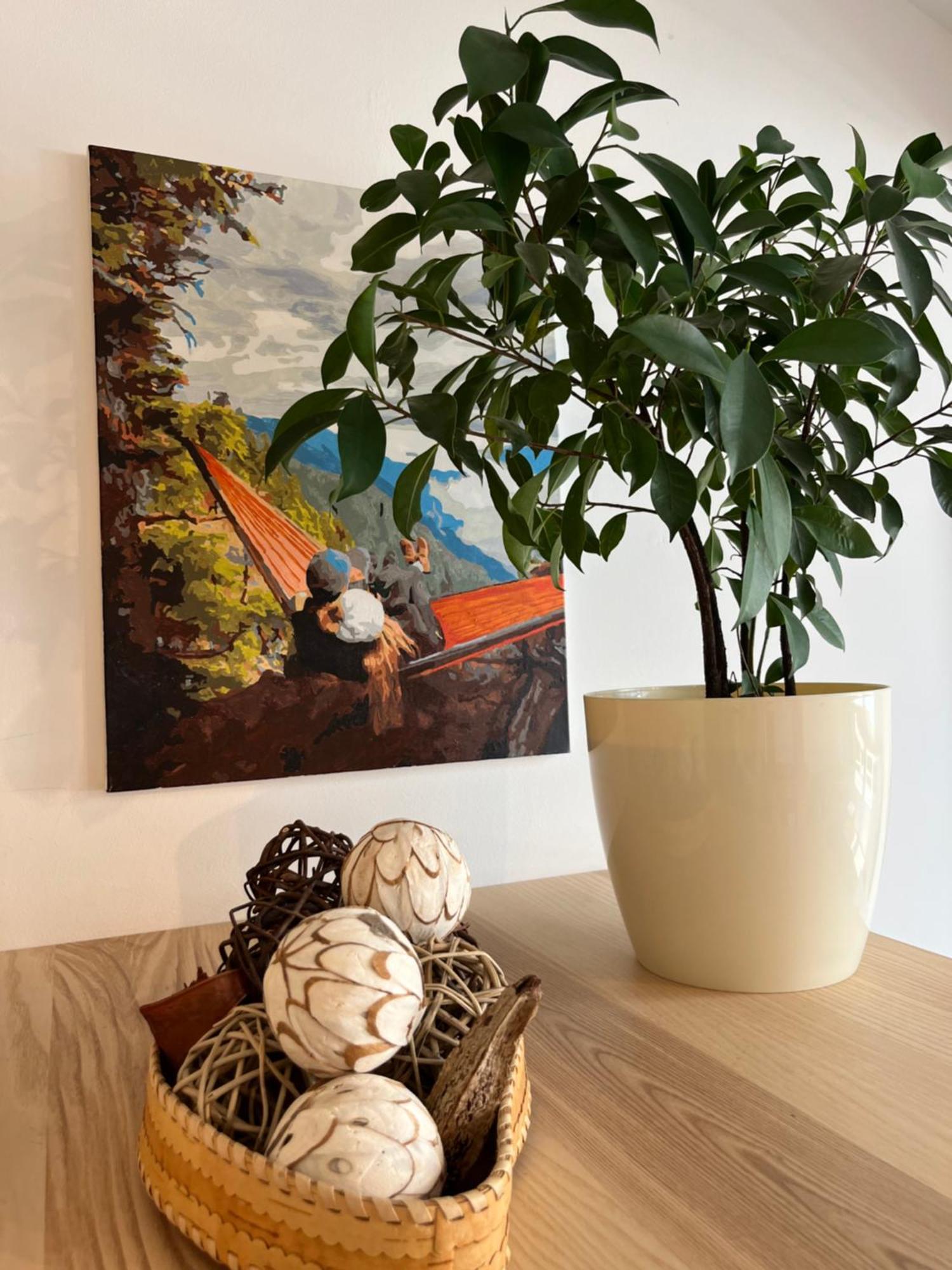 Feelhome With Kitchen Krakau